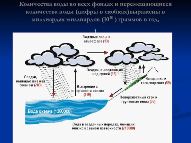 Количества воды во всех фондах и перемещающиеся количества воды (цифры