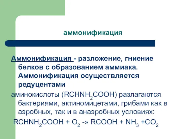 аммонификация Аммонификация - разложение, гниение белков с образованием аммиака. Аммонификация