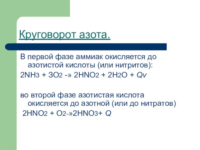 Круговорот азота. В первой фазе аммиак окисляется до азотистой кислоты