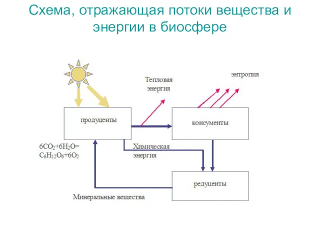 Схема, отражающая потоки вещества и энергии в биосфере