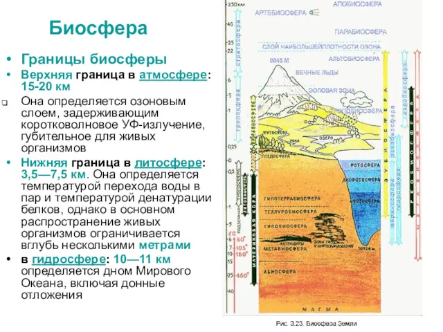 Биосфера Границы биосферы Верхняя граница в атмосфере: 15-20 км Она