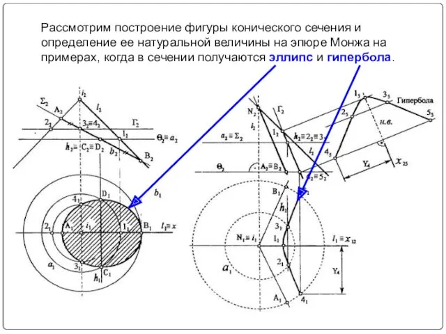 Рассмотрим построение фигуры конического сечения и определение ее натуральной величины