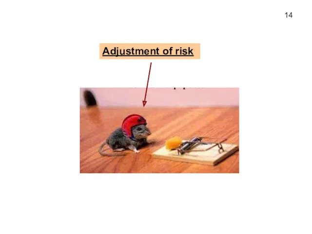 Adjustment of risk 14