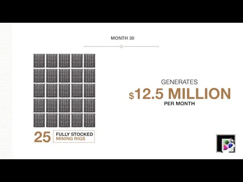 MONTH 30 25 FULLY STOCKED MINING RIGS GENERATES $12.5 MILLION PER MONTH