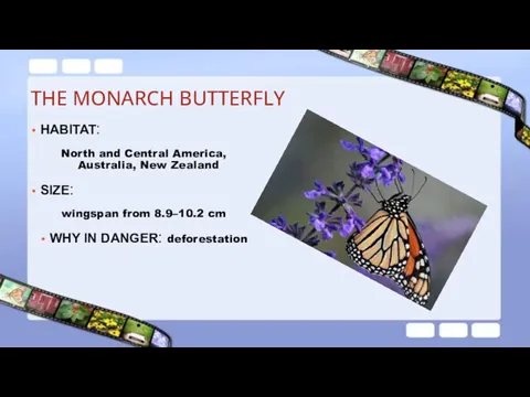 THE MONARCH BUTTERFLY HABITAT: North and Central America, Australia, New