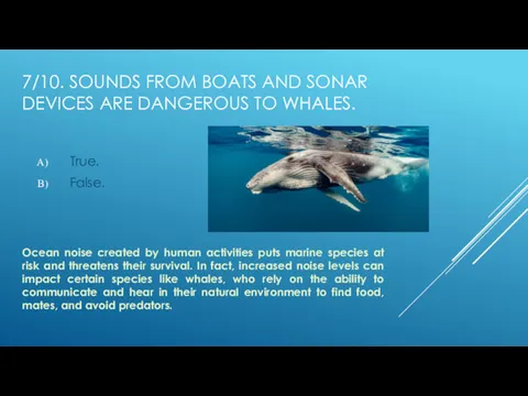 7/10. SOUNDS FROM BOATS AND SONAR DEVICES ARE DANGEROUS TO