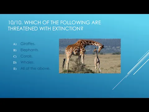 10/10. WHICH OF THE FOLLOWING ARE THREATENED WITH EXTINCTION? Giraffes.