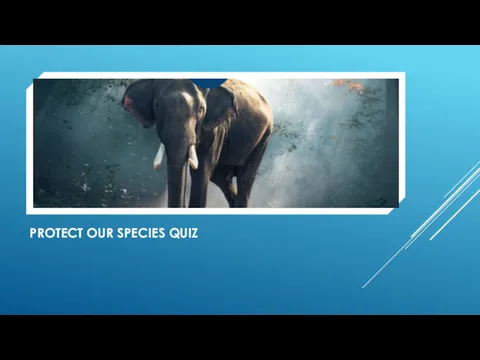 PROTECT OUR SPECIES QUIZ