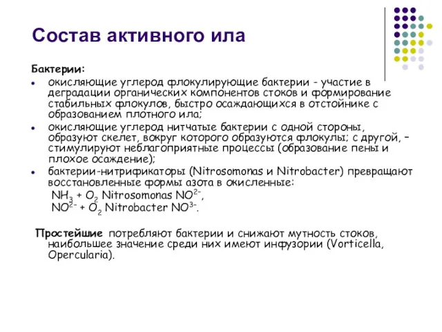 Состав активного ила Бактерии: окисляющие углерод флокулирующие бактерии - участие