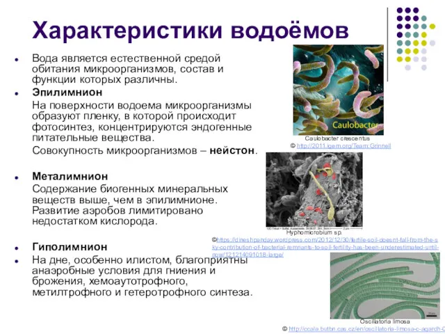 Характеристики водоёмов Вода является естественной средой обитания микроорганизмов, состав и