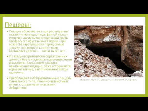 Пещеры: Пещеры образовались при растворении подземными водами сульфатной толщи (гипсов