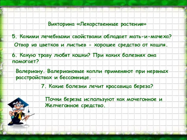 Викторина «Лекарственные растения» 5. Какими лечебными свойствами обладает мать-и-мачеха? 6.