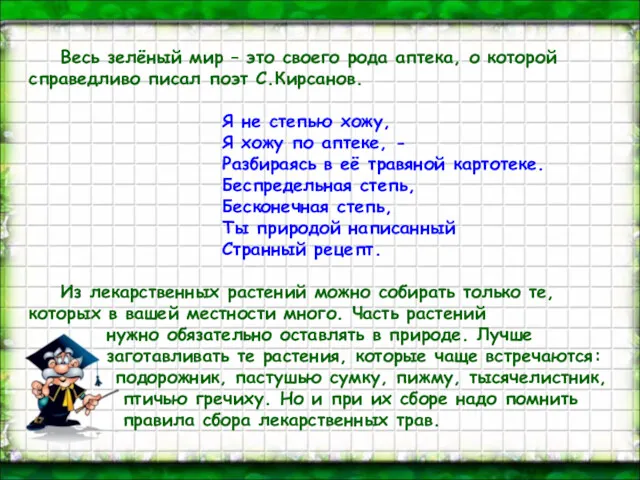 Весь зелёный мир – это своего рода аптека, о которой