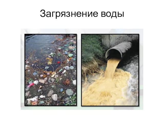 Загрязнение воды