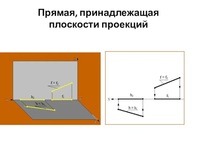 Прямая, принадлежащая плоскости проекций