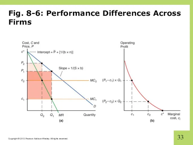 Fig. 8-6: Performance Differences Across Firms