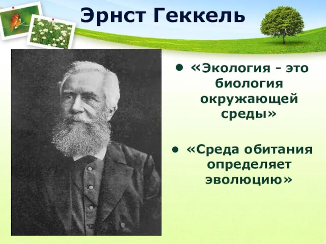 Эрнст Геккель «Экология - это биология окружающей среды» «Среда обитания определяет эволюцию»