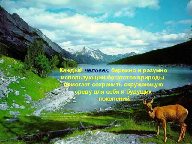 Каждый человек, бережно и разумно использующий богатства природы, помогает сохранить