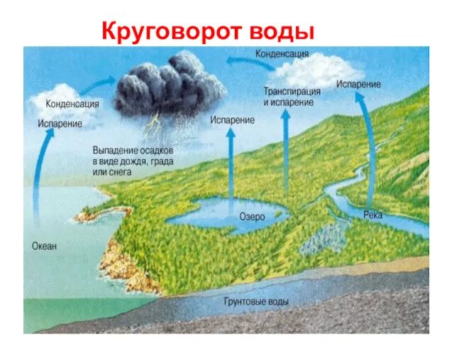 Круговорот воды