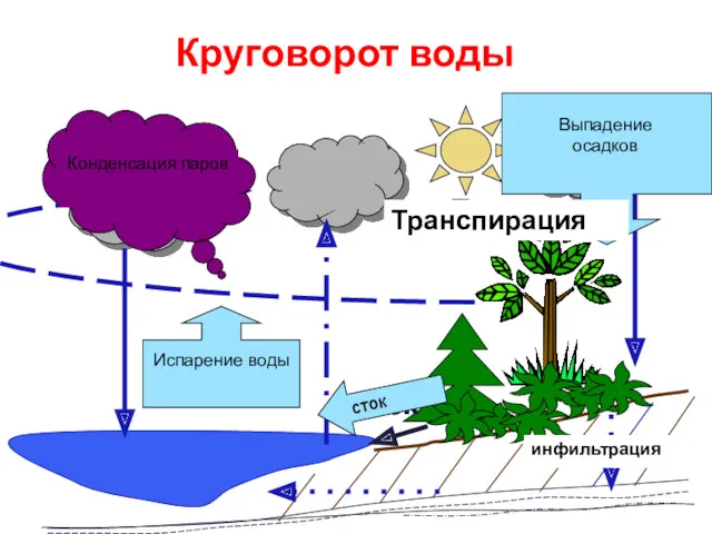 Круговорот воды Транспирация инфильтрация