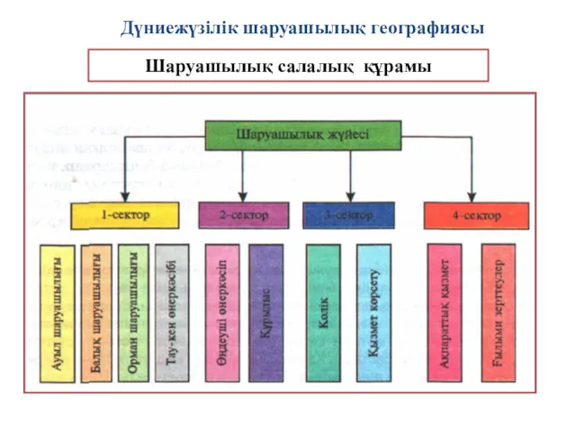 Шаруашылық салалық құрамы Дүниежүзілік шаруашылық географиясы