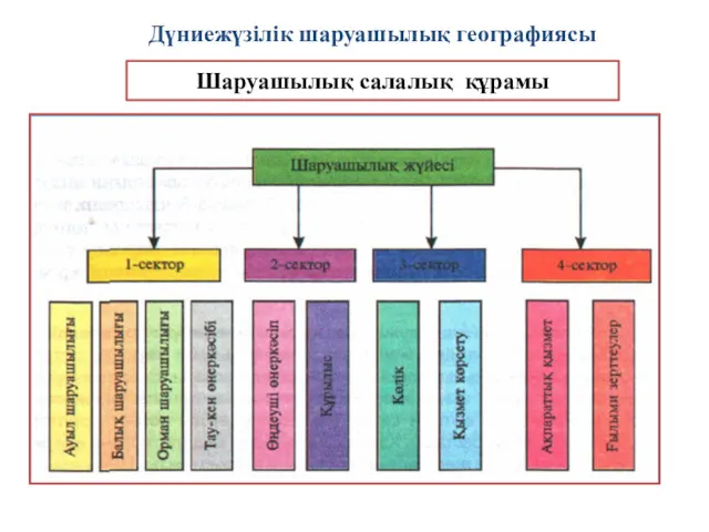 Шаруашылық салалық құрамы Дүниежүзілік шаруашылық географиясы