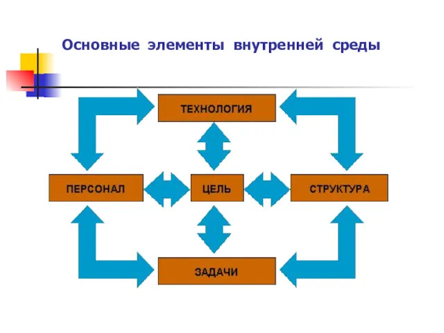 Основные элементы внутренней среды