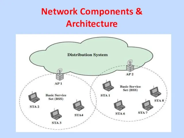 Network Components & Architecture
