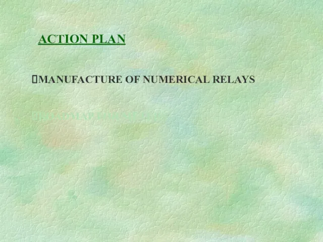ACTION PLAN MANUFACTURE OF NUMERICAL RELAYS ROADMAP FOR METERS