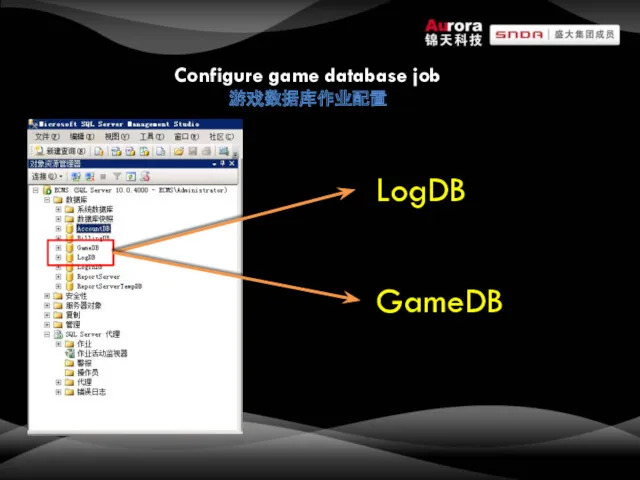 Configure game database job 游戏数据库作业配置 GameDB LogDB