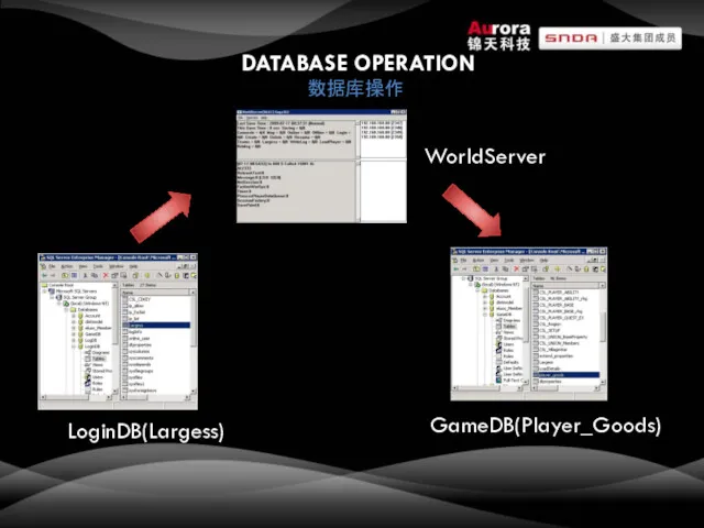 DATABASE OPERATION 数据库操作 LoginDB(Largess) WorldServer GameDB(Player_Goods)