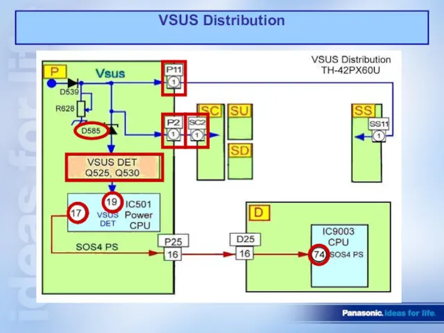 VSUS Distribution