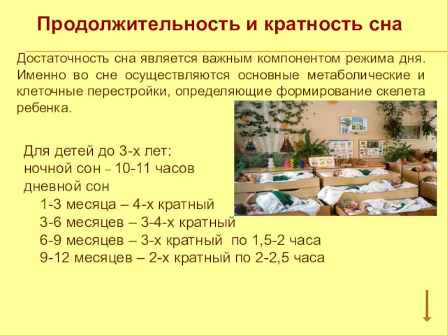 Продолжительность и кратность сна Достаточность сна является важным компонентом режима