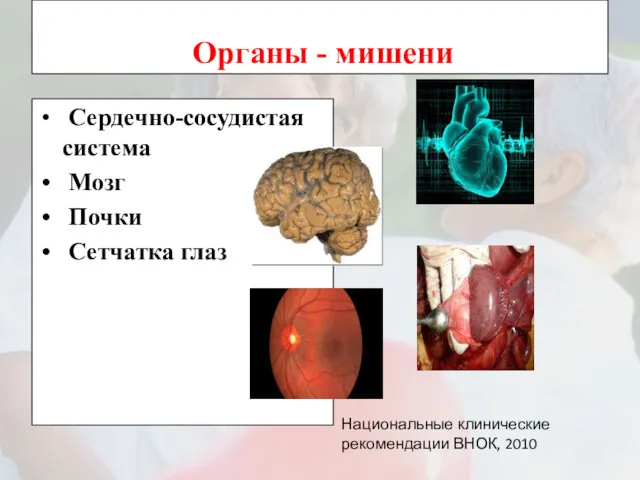 Органы - мишени Сердечно-сосудистая система Мозг Почки Сетчатка глаз Национальные клинические рекомендации ВНОК, 2010