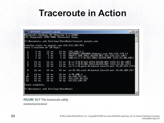 Traceroute in Action