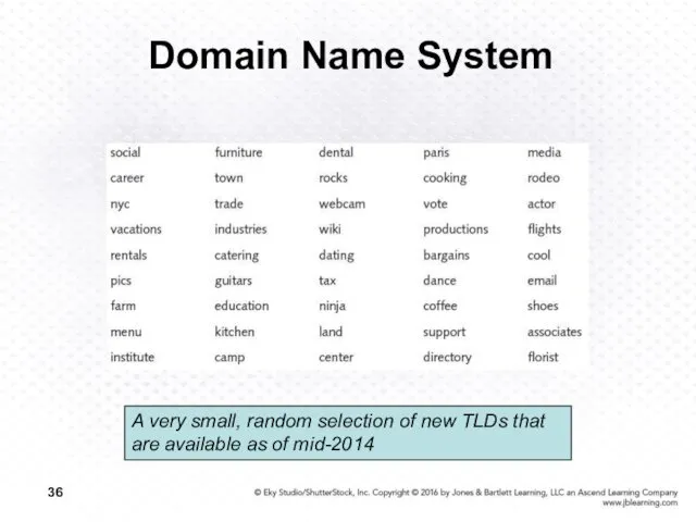 Domain Name System A very small, random selection of new