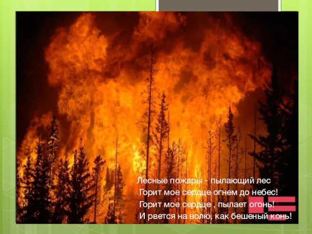 Лесные пожары - пылающий лес Горит мое сердце огнем до