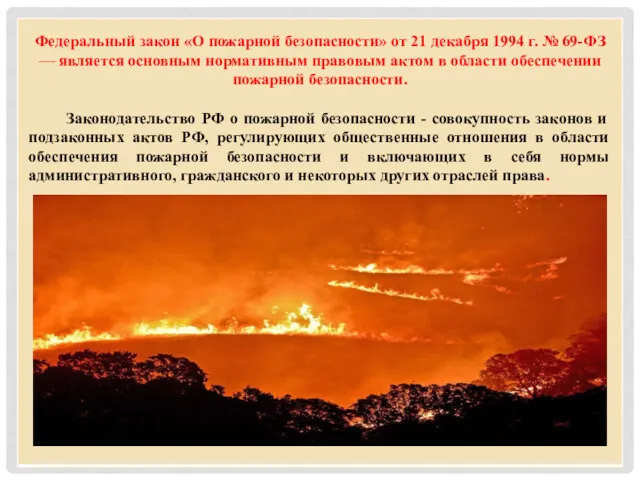 Федеральный закон «О пожарной безопасности» от 21 декабря 1994 г.