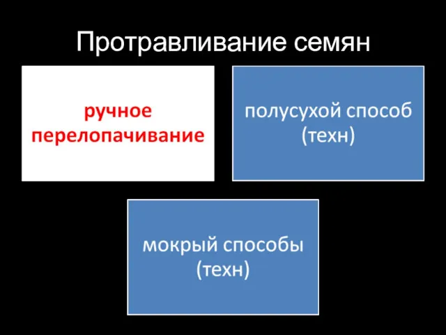 Протравливание семян