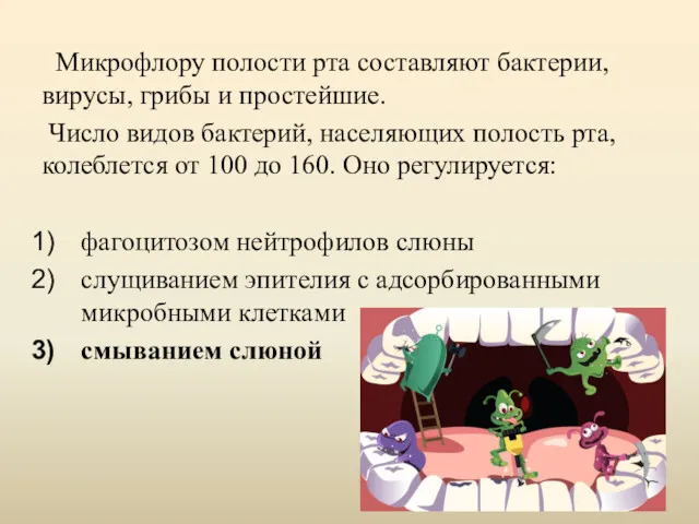 Микрофлору полости рта составляют бактерии, вирусы, грибы и простейшие. Число видов бактерий, населяющих