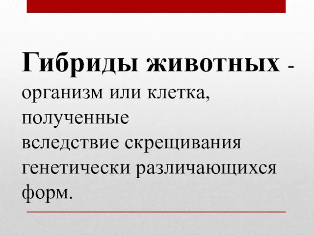 Гибриды животных - организм или клетка, полученные вследствие скрещивания генетически различающихся форм.