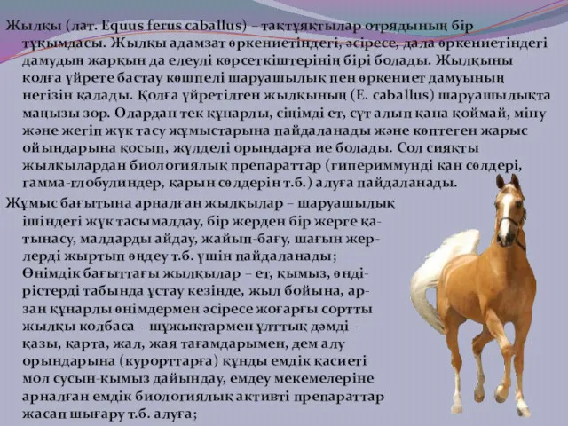 Жылқы (лат. Equus ferus caballus) – тақтұяқтылар отрядының бір тұқымдасы. Жылқы адамзат өркениетіндегі,