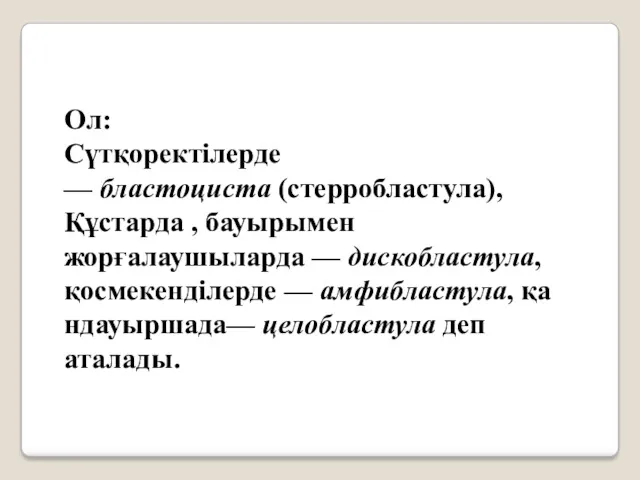 Ол: Сүтқоректілерде — бластоциста (стерробластула), Құстарда , бауырымен жорғалаушыларда —