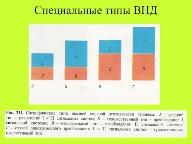 Специальные типы ВНД