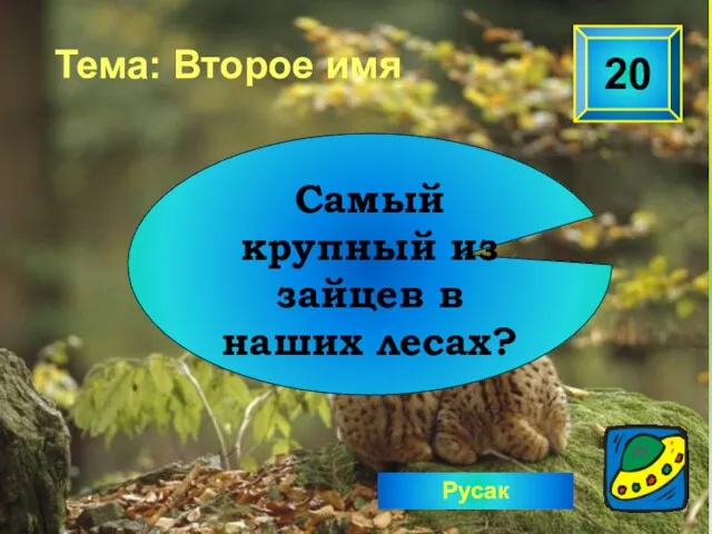 Русак 20 Самый крупный из зайцев в наших лесах? Тема: Второе имя