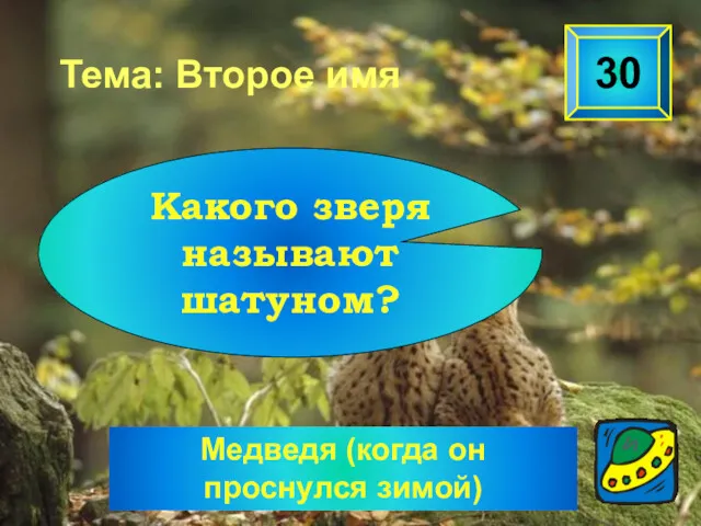 Медведя (когда он проснулся зимой) 30 Тема: Второе имя Какого зверя называют шатуном?