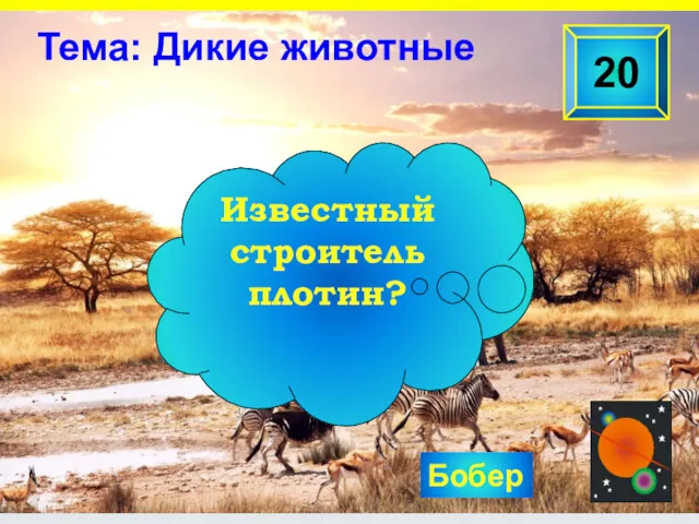 Бобер 20 Известный строитель плотин? Тема: Дикие животные