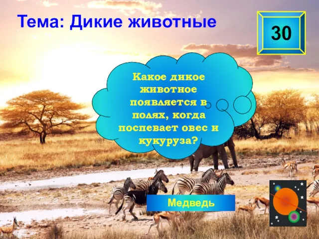 Медведь 30 Какое дикое животное появляется в полях, когда поспевает овес и кукуруза? Тема: Дикие животные