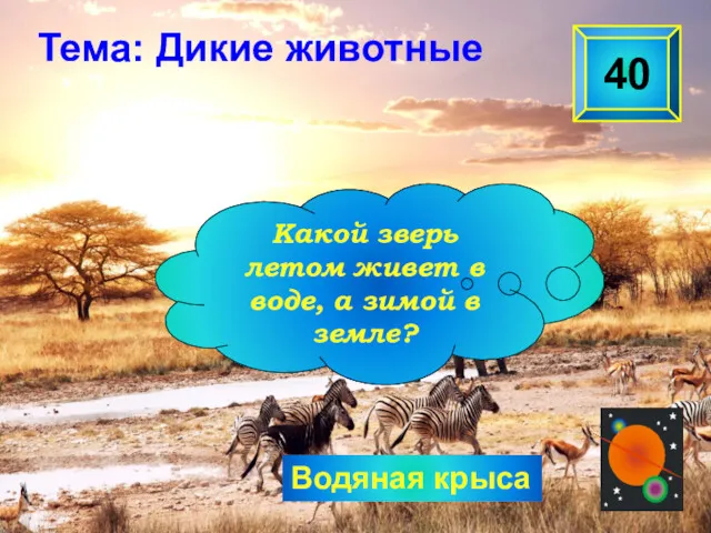 Водяная крыса 40 Какой зверь летом живет в воде, а зимой в земле? Тема: Дикие животные