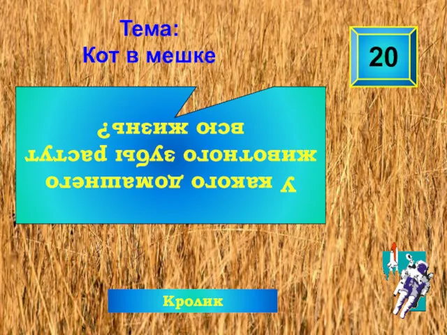 У какого домашнего животного зубы растут всю жизнь? 20 Тема: Кот в мешке Кролик